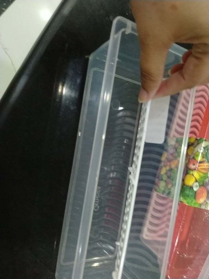 Fridge Food Storage Container Organiser with Removable Drain Tray for Fresh Fruits, Vegetables, Meat & Fish, BPA-Free Plastic Kitchen Box Storage Food Box Container Organizer 1500ml Stackable